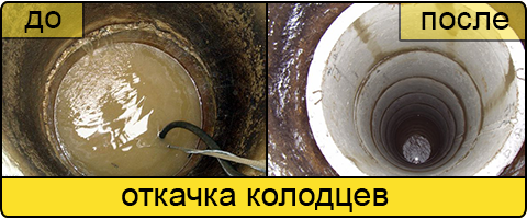 Ассенизаторские услуги в Пушкино