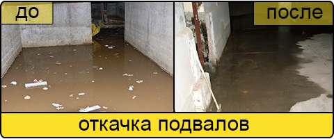 Услуга ассенизаторов в Пушкино